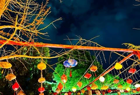 Colorful Lanterns Hanging from Tree Branches at Night Stock Photos
