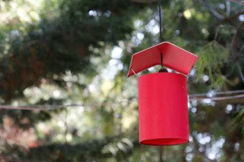 Colorful lanterns Stock Photos