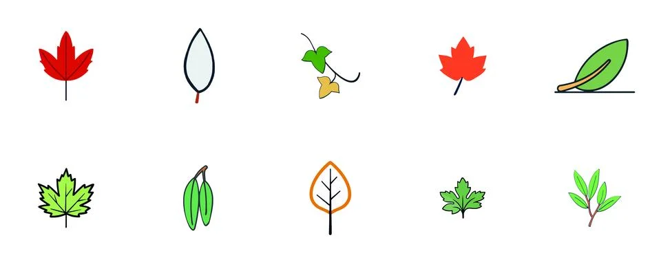 Colorful Leaf Collection Stock Illustration