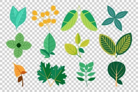 Colorful leaf collection vector, leaf vector, leaf art, leaf design Illustrazione stock