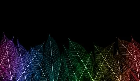 Colorful leaf Foto stock