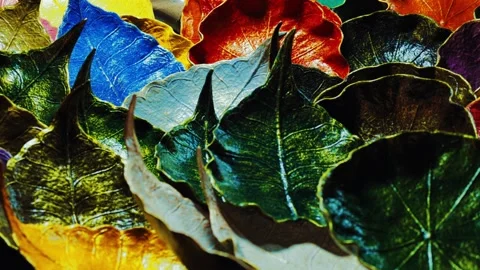 Colorful leaf shaped ceramic dishes arranged on display at market stall Stock Footage 346451655