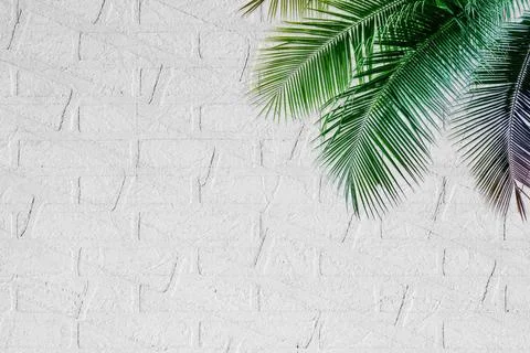 Colorful leaves pattern on white wall texture,gradient color pastel autumn .. Stock Photos