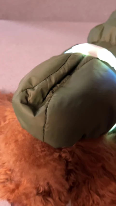 A colorful LED light strip is attached to a stylish jacket, making it a unique Stock Footage 297842425