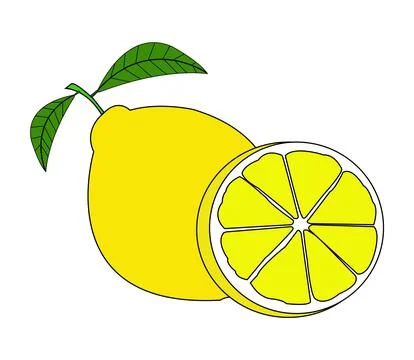 Colorful Lemon vector design artwork Stock Illustration