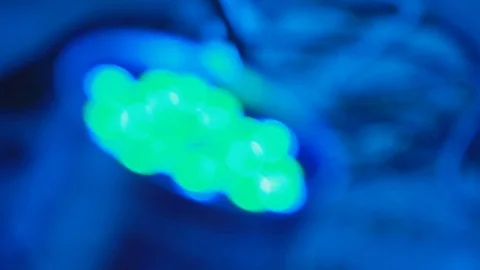 Colorful light closeup Stock Footage 81388708