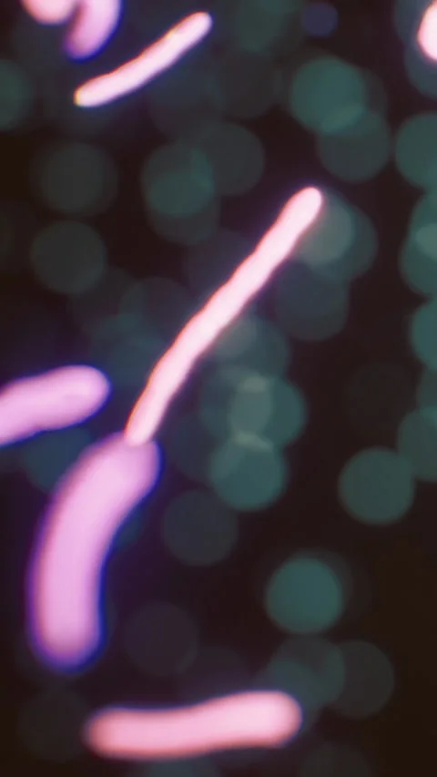 Colorful light patterns shimmer in dark space during night event Stock Footage 336173812