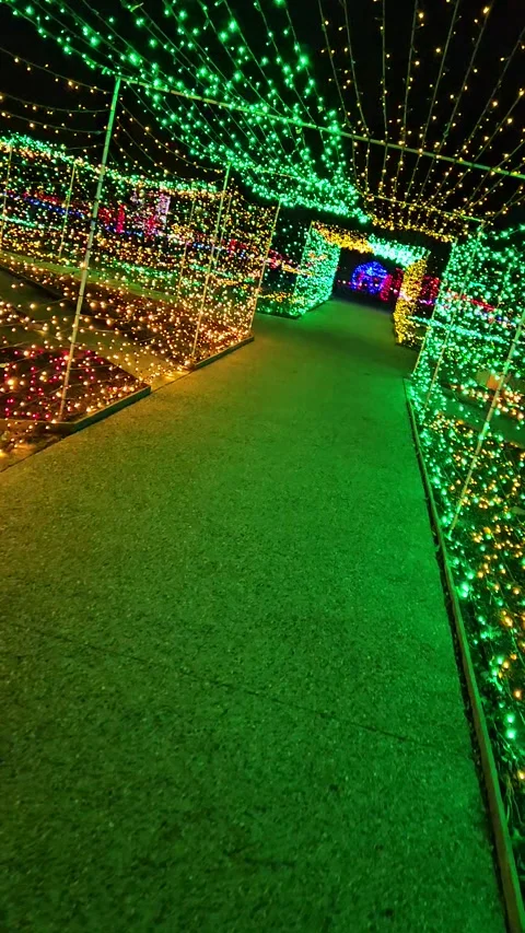 Colorful Light Tunnel with Grid Pattern and Green Flooring Stock Footage 316192360