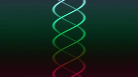 Colorful light waves create patterns in a dark background Stock Footage 338078664