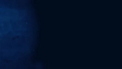 Colorful Lights Blinking Animation  Stock-Footage 232423206