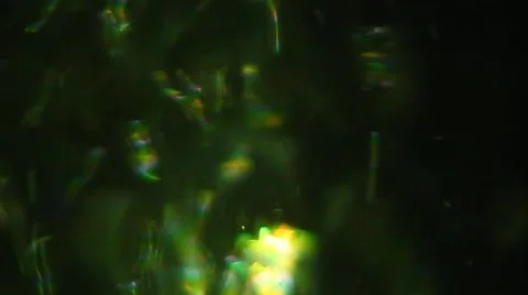 Colorful lights Stock Footage 1063788
