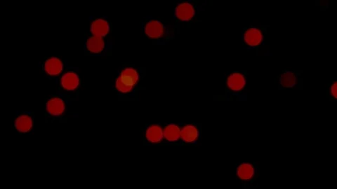 Colorful lights Stock Footage 118145167