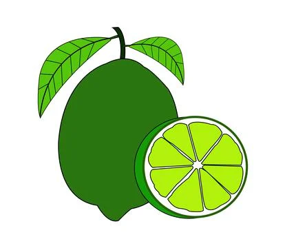 Colorful Lime vector Stock Illustration