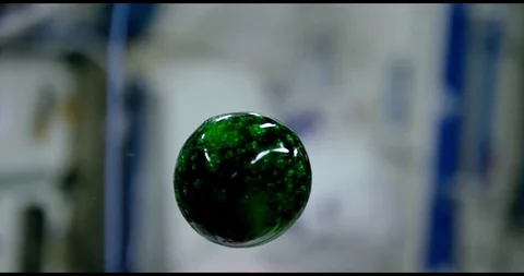 Colorful Liquid in Space Stock Footage 116981997