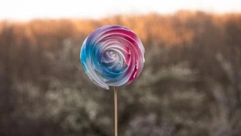 Colorful lollipop on stick with backgroung. Stock Photos