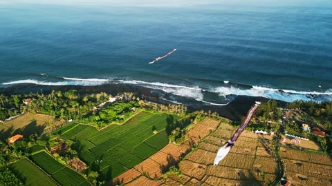 Colorful Long Tailed Kites Flying Over Bali Farmland Beside Ocean Waves Stock Footage 345518005