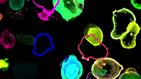 Colorful loop Background  Stock Footage 164968703