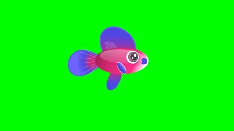 Colorful Looping on Chroma Key for Compositing Vídeos de archivo 336959076