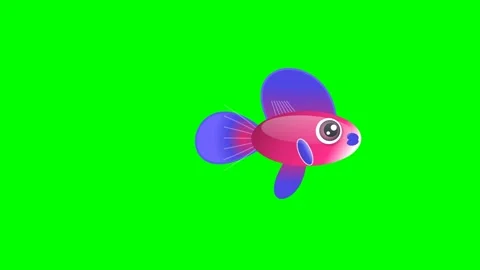 Colorful Looping Isolated Green Screen Stock Video Video stock 336959062