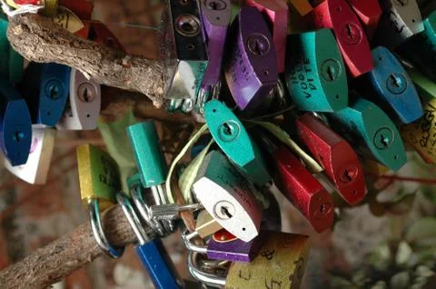 Colorful lovers locks on tree 스톡 사진