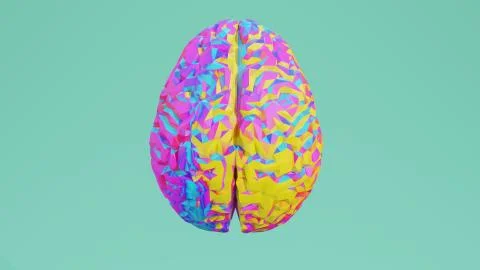 Colorful low poly side view brain 3D render isolated on background Stock Illustration