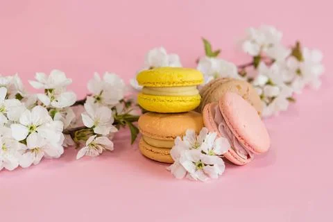 Colorful macarons with cherry blossoms on pink background Stock Photos