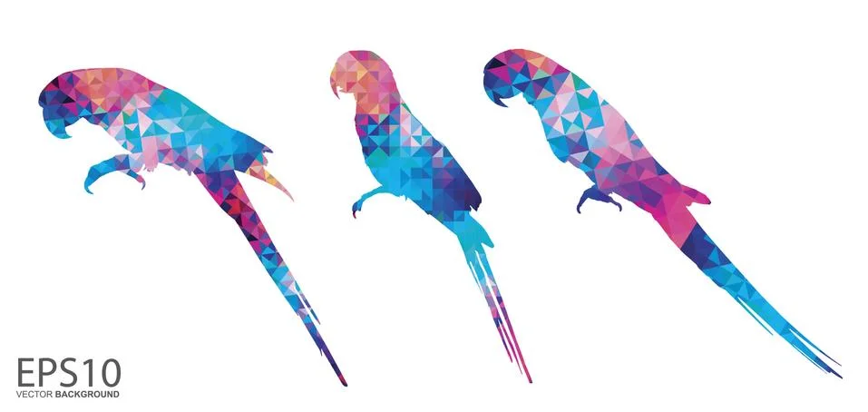 Colorful Macaw bird  pattern background. Stock Illustration