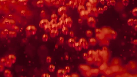 Colorful macro shot of bubbles in liquid Stock-Footage 188771561