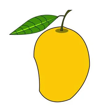 Colorful mango vector Stock Illustration