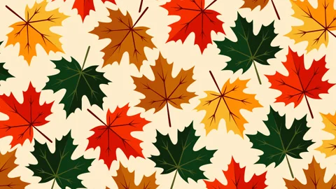 Colorful Maple Leaf Pattern Seamless Autumn Background Nature Footage Stock Footage 339169145