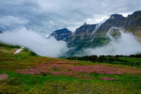 Colorful meadow as a storm develops at the Hidden Lake Trail-Glacier Stock Photos