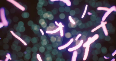 Colorful micro organisms in motion create a captivating visual experience Stock Footage 318793809