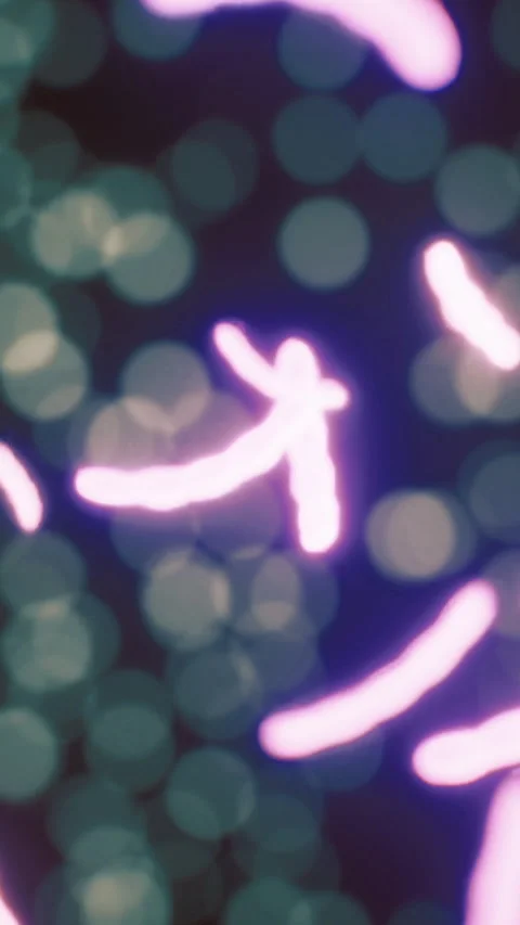 Colorful micro organisms in motion create a captivating visual experience Stock Footage 324498259