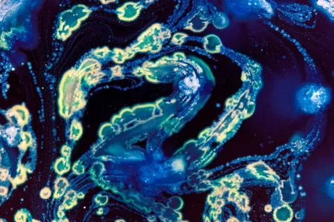 Colorful Micro Organisms Stock Photos