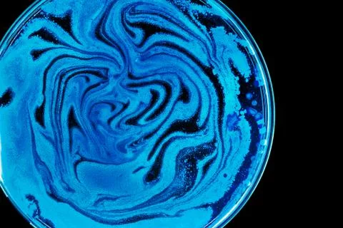 Colorful Micro Organisms Stock Photos