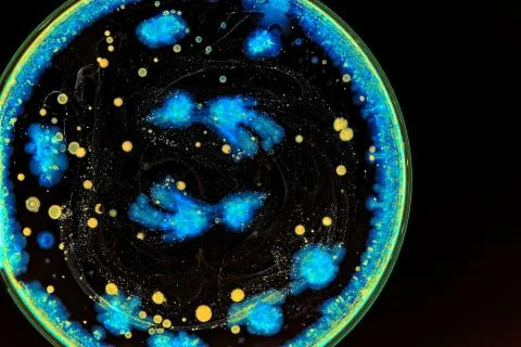 Colorful Micro Organisms Stock Photos