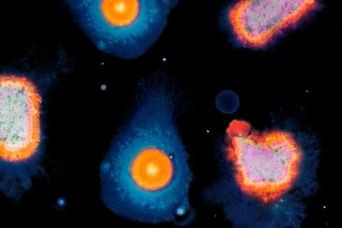 Colorful Micro Organisms Stock Photos