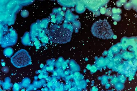 Colorful Micro Organisms Stock Photos