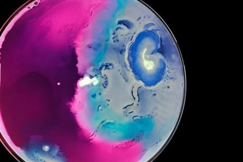 Colorful Micro Organisms Stock Photos