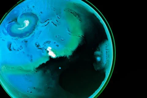 Colorful Micro Organisms Stock Photos