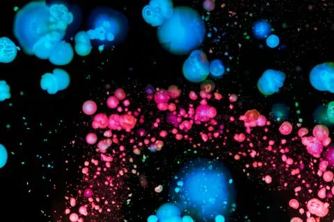 Colorful Micro Organisms Stock Photos