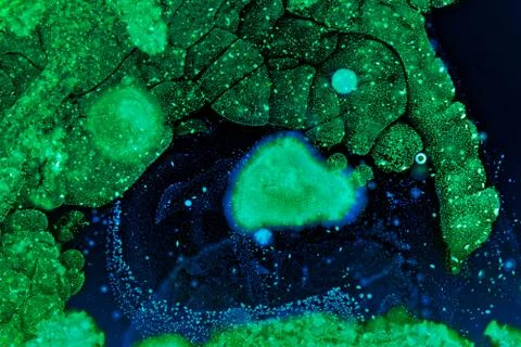 Colorful Micro Organisms Stock Photos