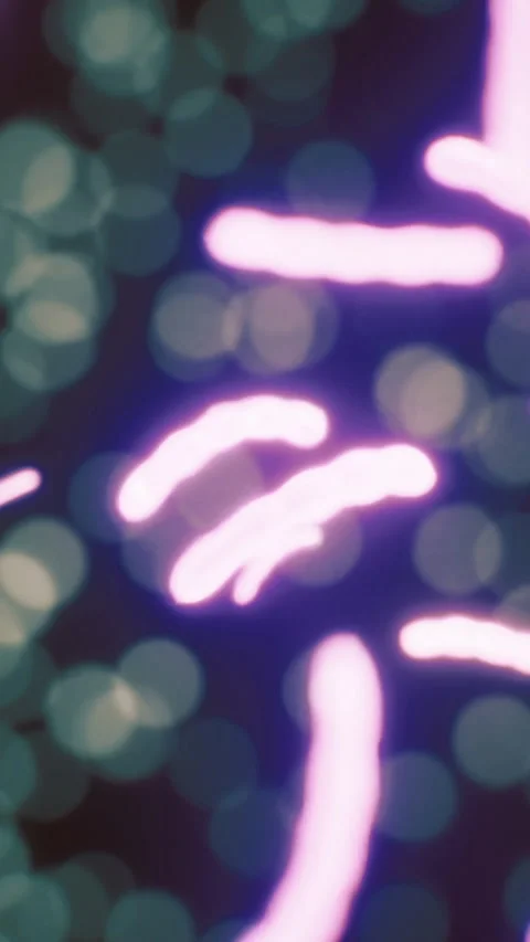 Colorful micro patterns creating a vibrant abstract view at night Stock Footage 316634234