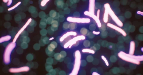 Colorful micro patterns creating a vibrant abstract view at night Stock Footage 318973652