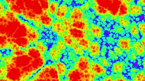 Colorful Microbial or Cellular Pattern in Red, Green, Blue, and Yellow Tones Stock Footage 340413644