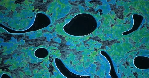 Colorful microscopic pattern on black background in chemistry lab Video stock 308448475