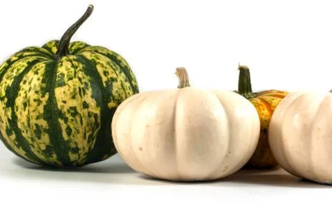 The colorful of mini pumpkins isolate on white background Stock Photos