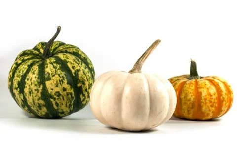 The colorful of mini pumpkins isolate on white background Stock Photos