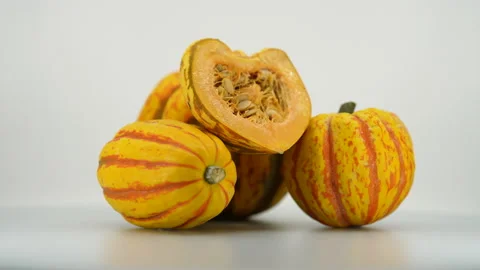 Colorful Mini Pumpkins Set Stock Footage 169730503