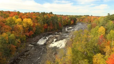 Colorful mixed forest at perfect fall timing bordering powerful river Stock Footage 119189808